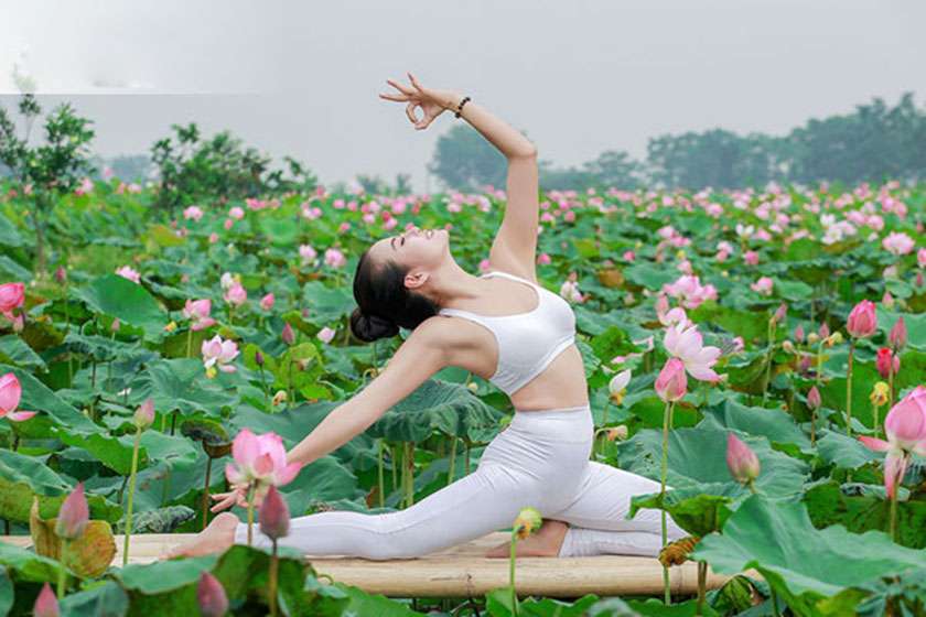 Tạo dáng Yoga cùng hoa sen