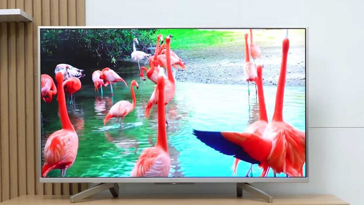 Tivi Samsung 60 inch giá bao nhiêu?