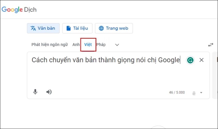 sử dụng google dịch translate