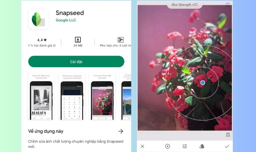 Snapseed - App làm rõ ảnh của Google