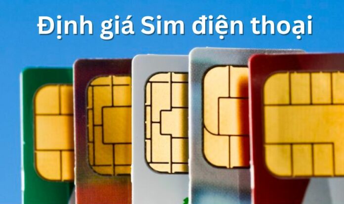 Định giá Sim điện thoại là gì? Tiêu chí định giá Sim chuẩn xác nhất