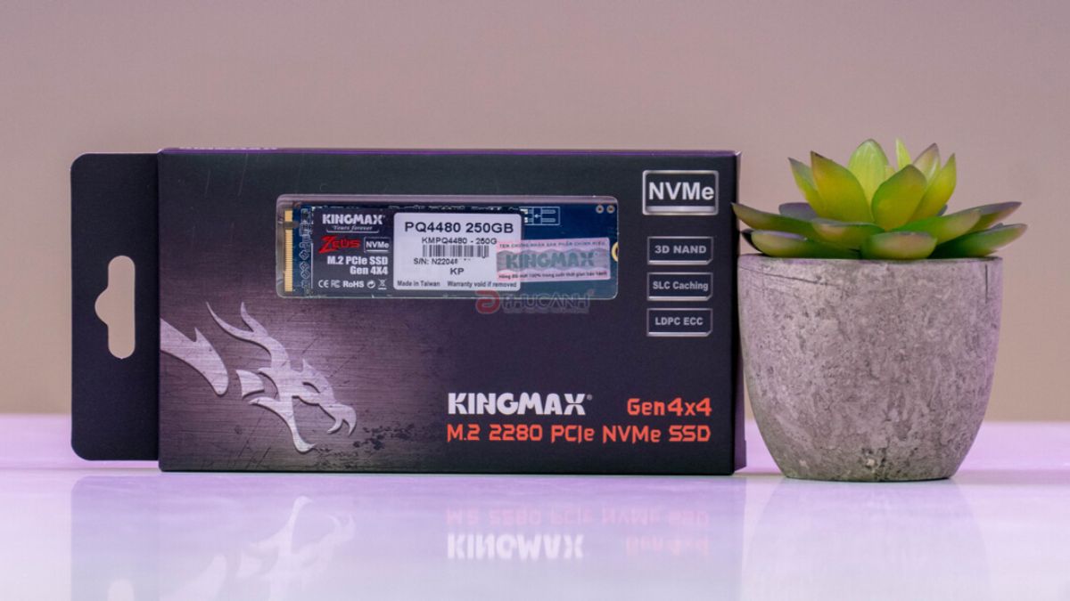 SSD Kingmax có tốt không? 